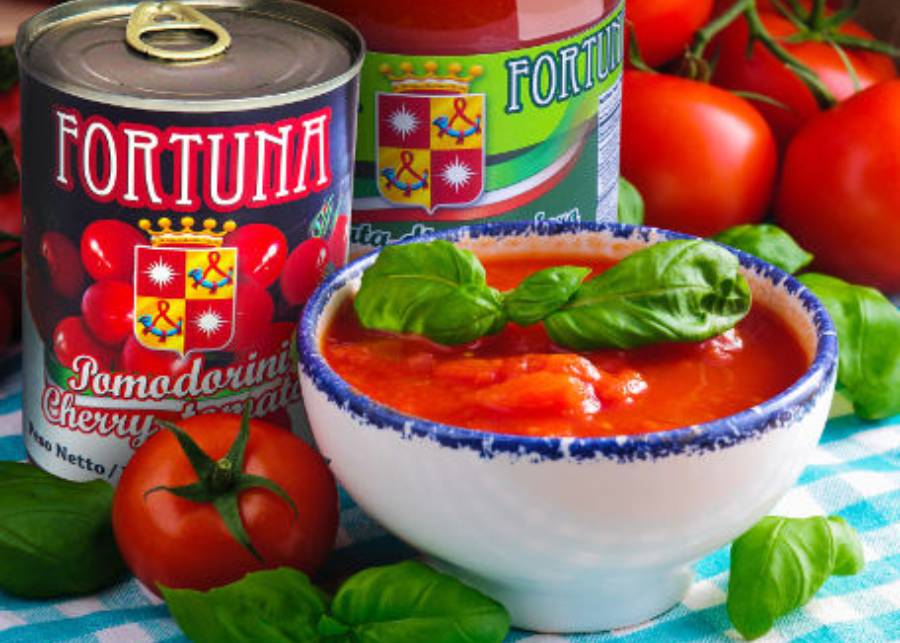 MEDITERRANEA ITALIA